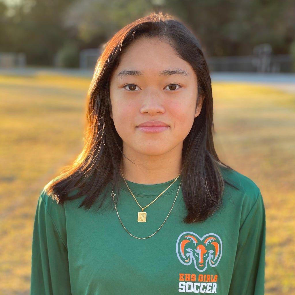 Jemima Tolentino mugshot