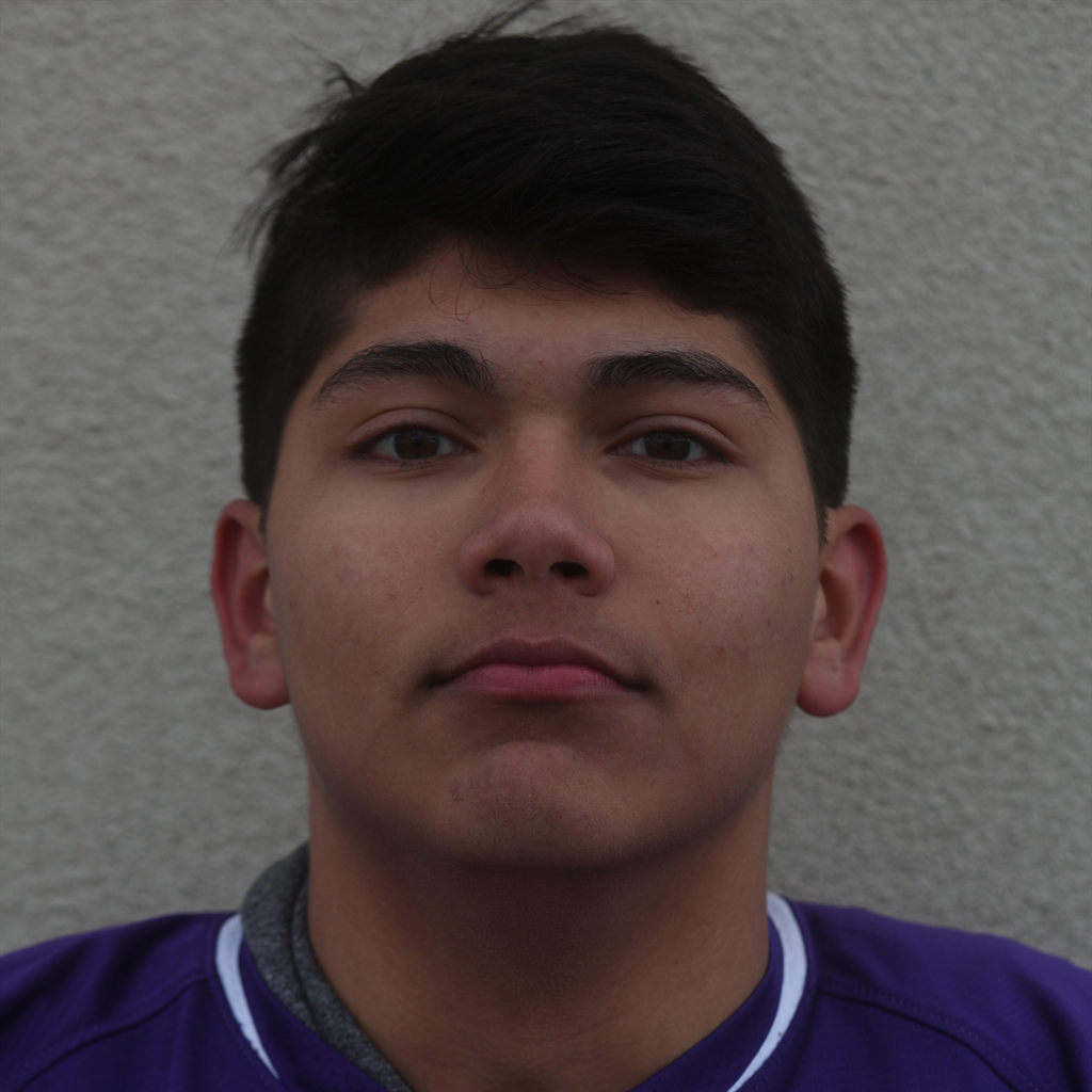Emerson Pocasagre mugshot