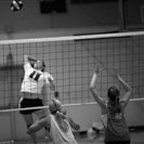 Gracie Flyg