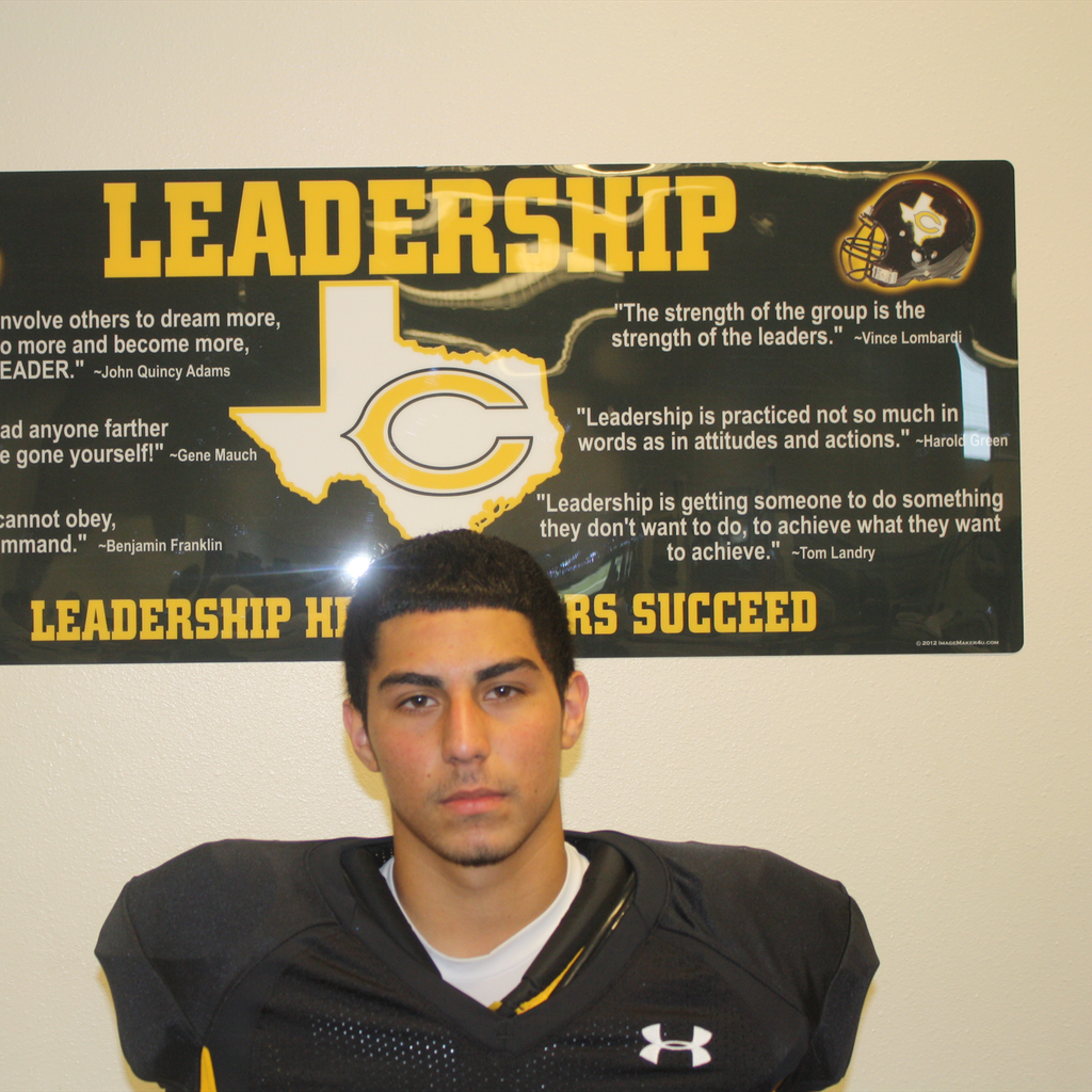 Luis Flores mugshot
