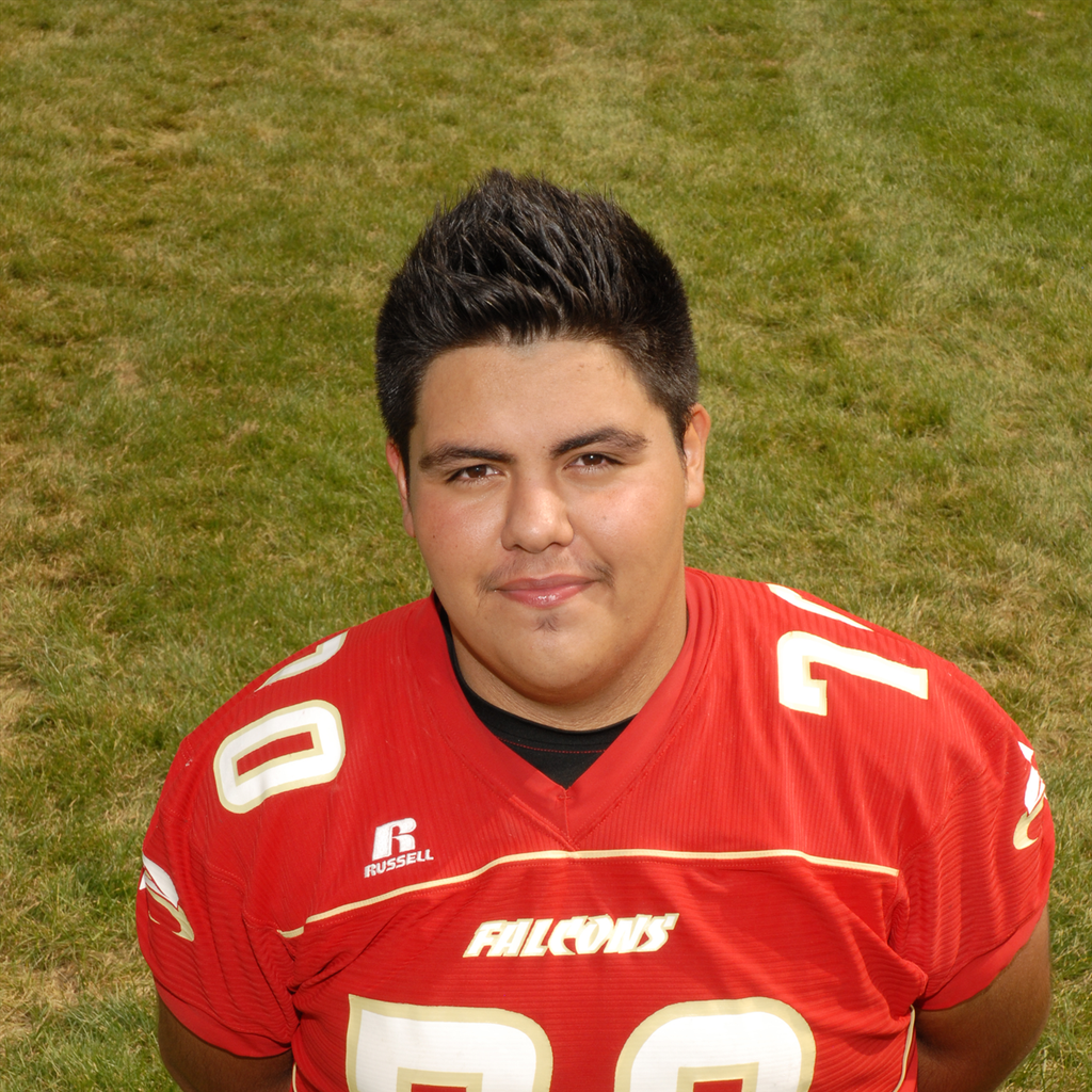 Ivan Mijares mugshot