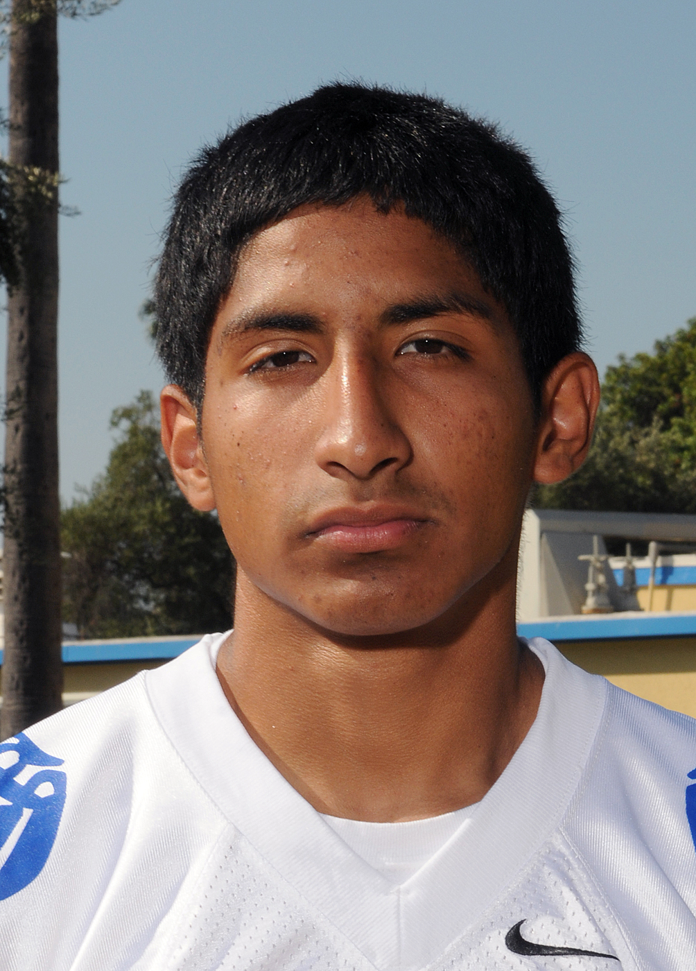 LUIS ZAMORA