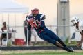 Lawrence Taylor