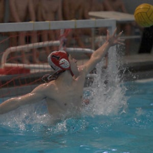 Theo Chapman mugshot