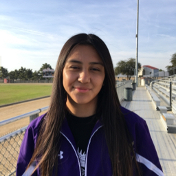 Yvette Andrade mugshot