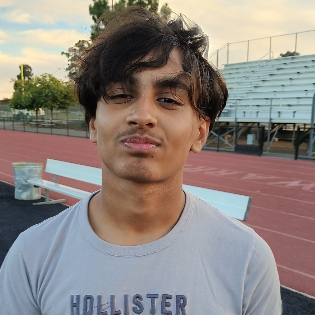 Tayseer Chaudhury mugshot