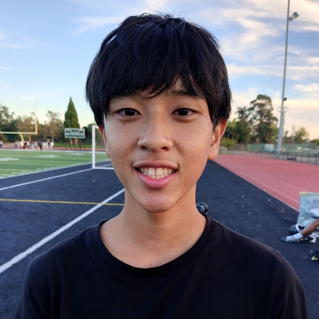 Thinh Ngo mugshot