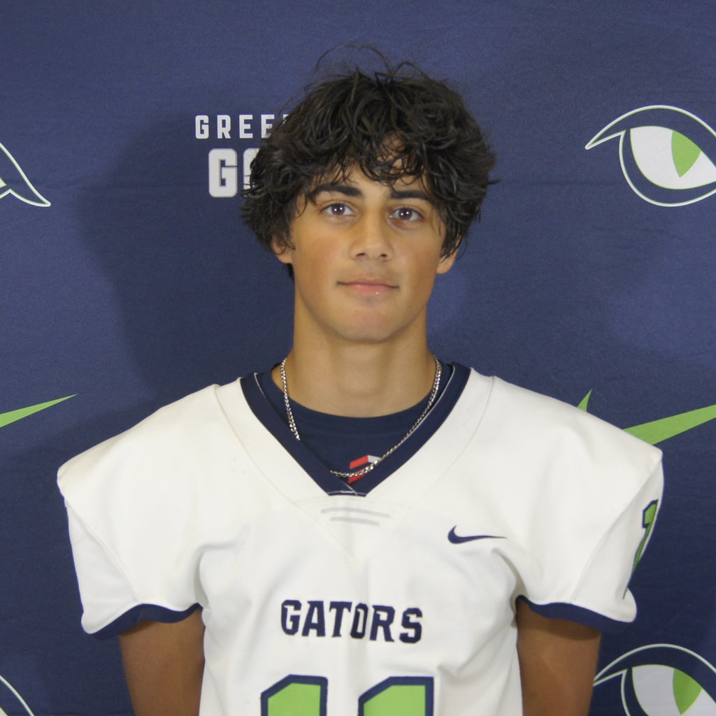 Ibrahim Viqas mugshot