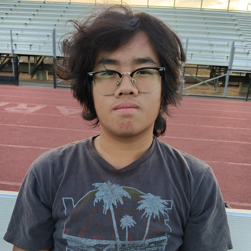 Aarin Truong mugshot