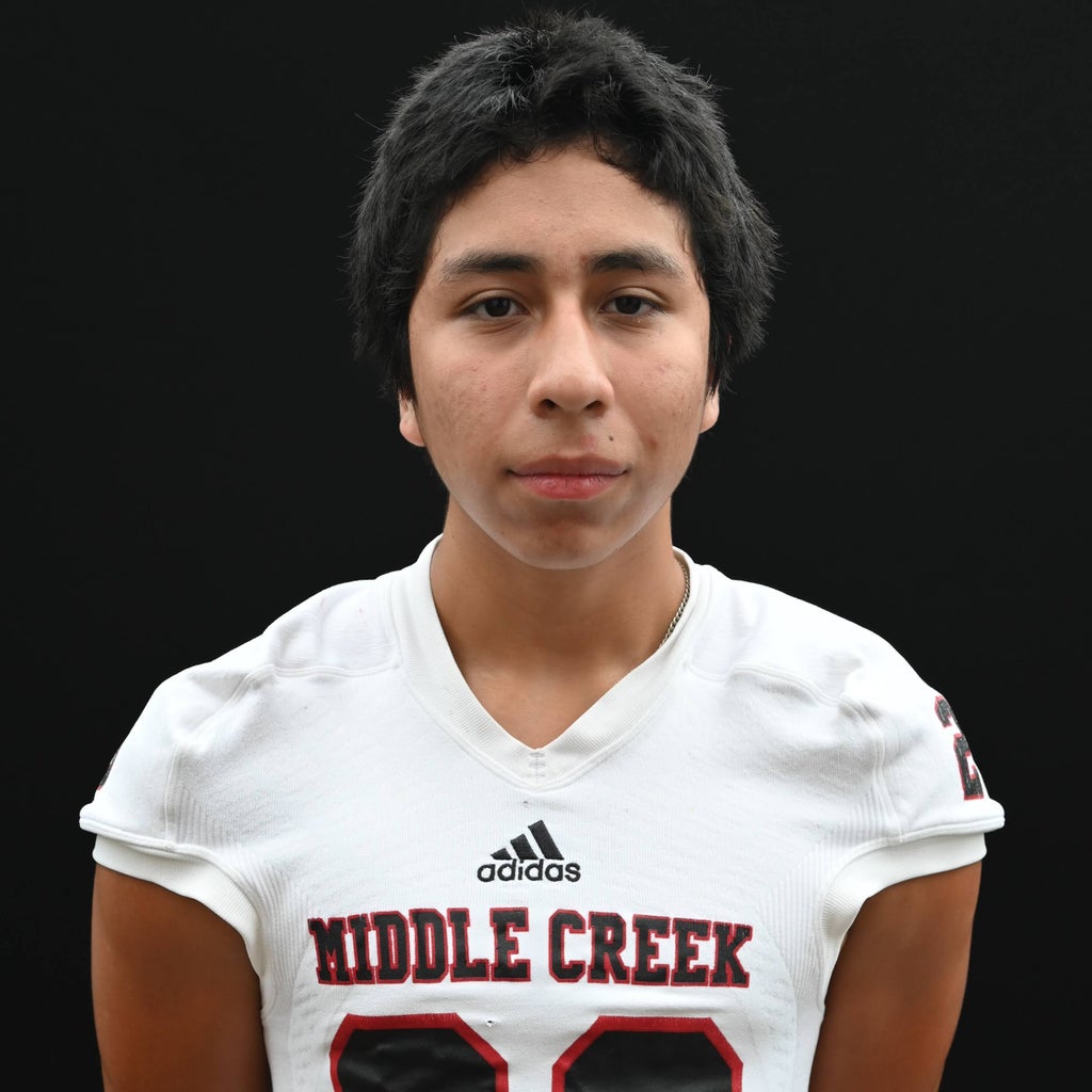 Edwin  Mendoza  mugshot