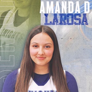 Amanda Larosa mugshot