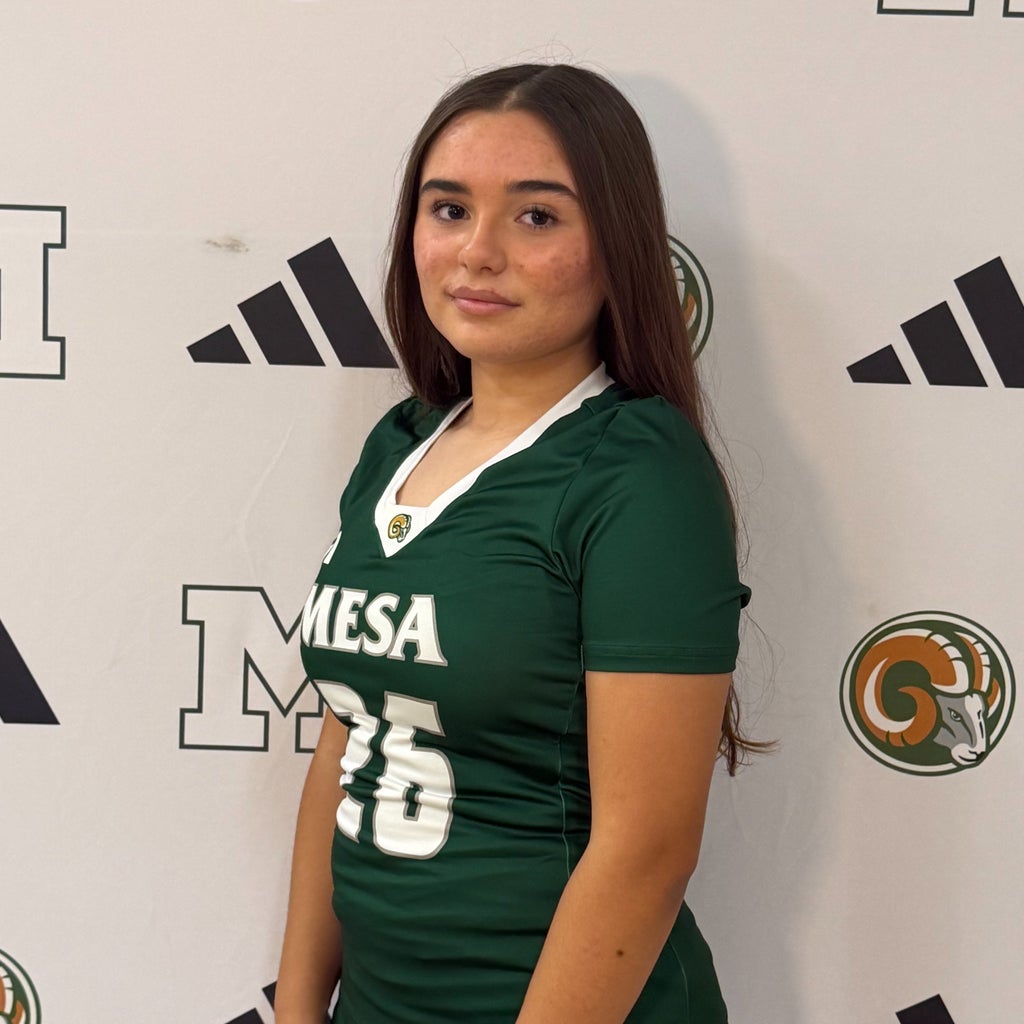 Danica Guerrero mugshot