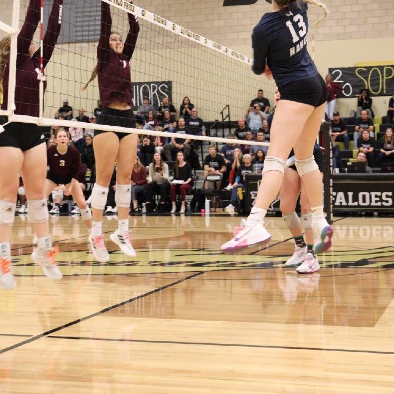 Hannah Hicks mugshot