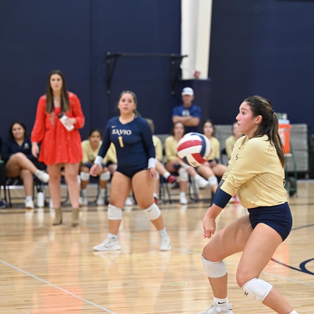 Sarah Pettinato mugshot