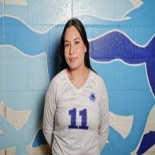Vivianna Narvaza mugshot