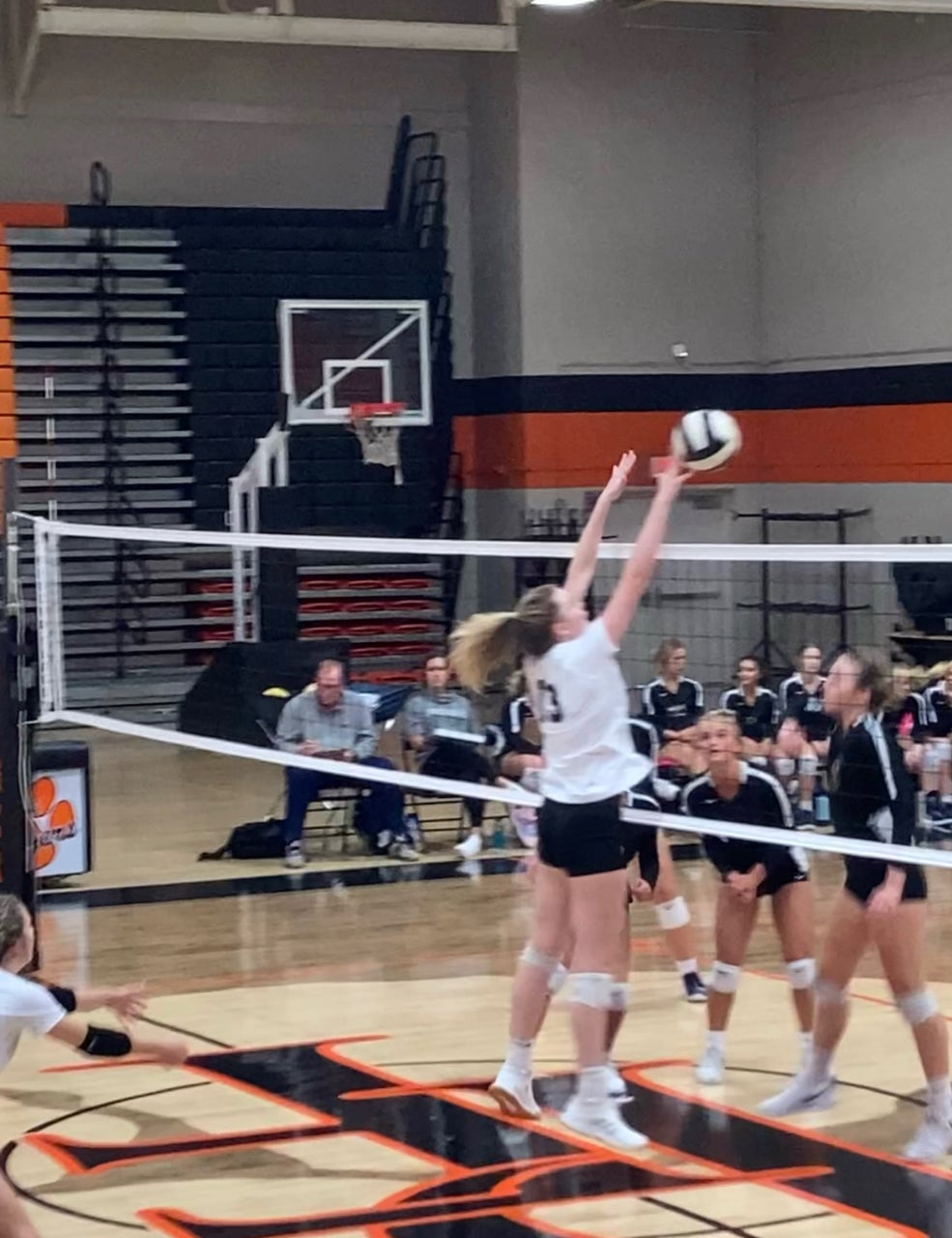 Stella Adams mugshot