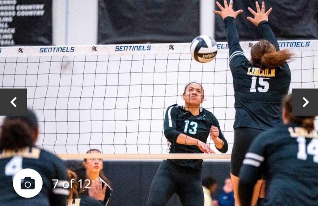 Reminess-rose Kaleopa-grey