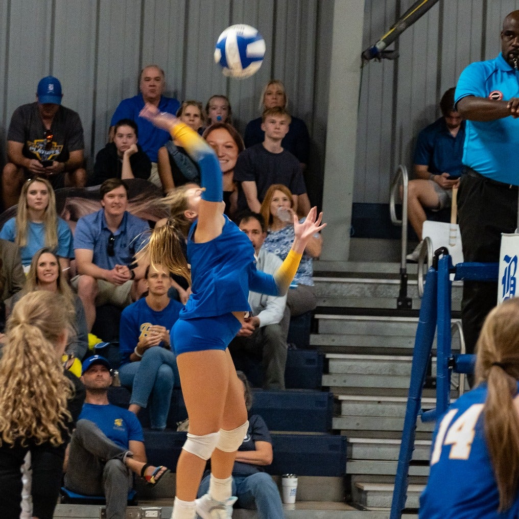 Ansley Ridge mugshot