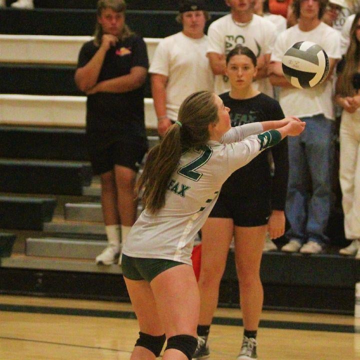Gabby Biitner
