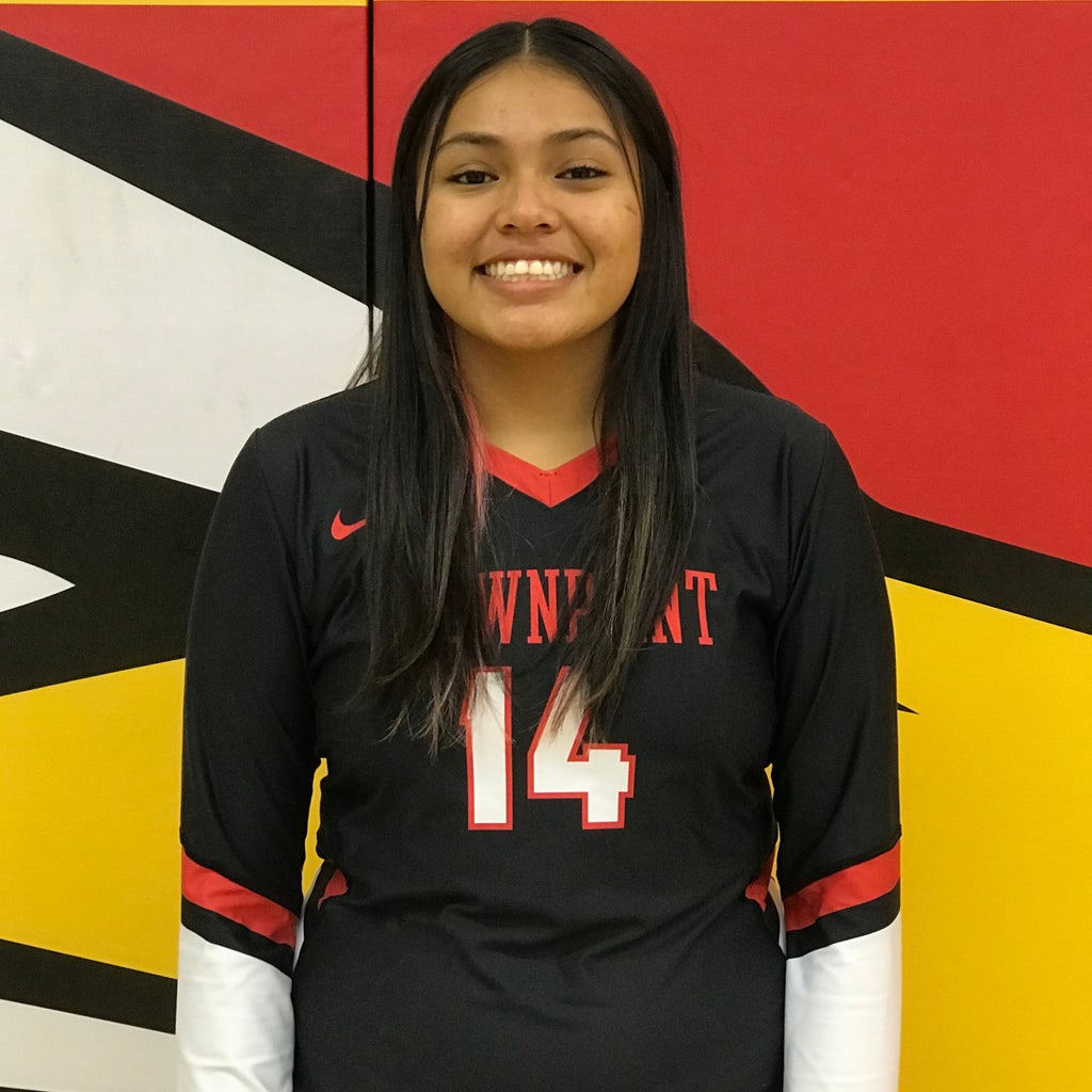 Araalyn Arviso mugshot