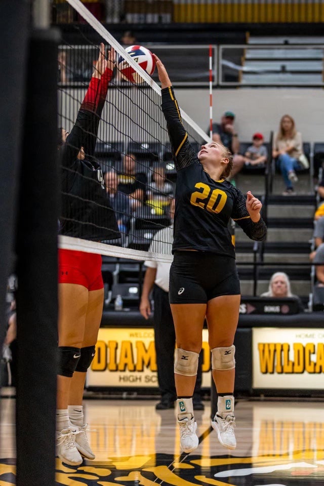 Janalyn Kralicek mugshot