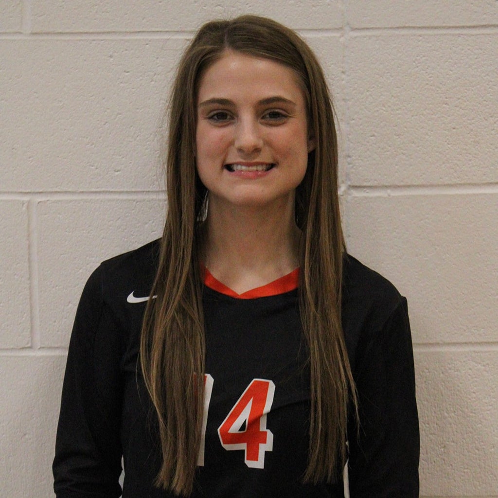 Sydney Scherer mugshot