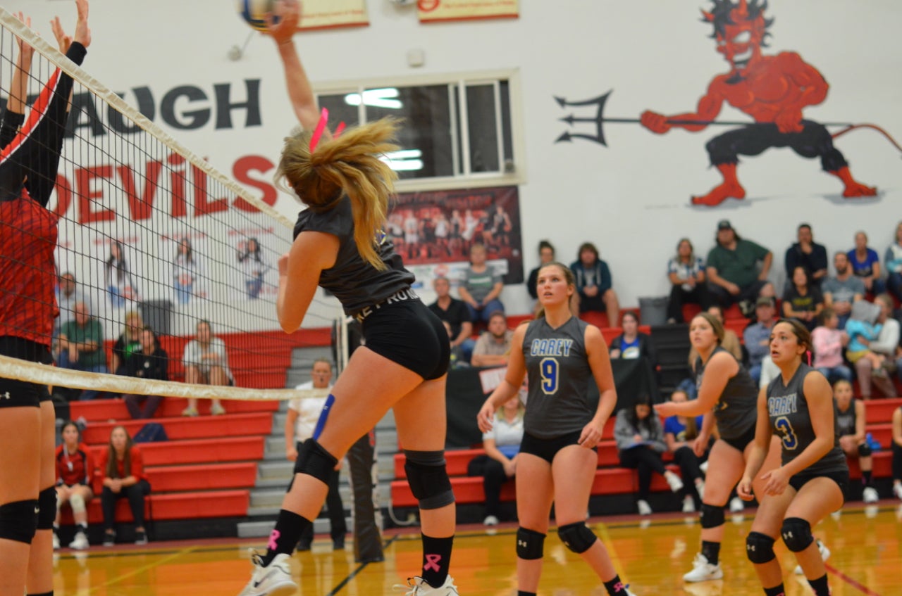 Maggie D’Orazio mugshot