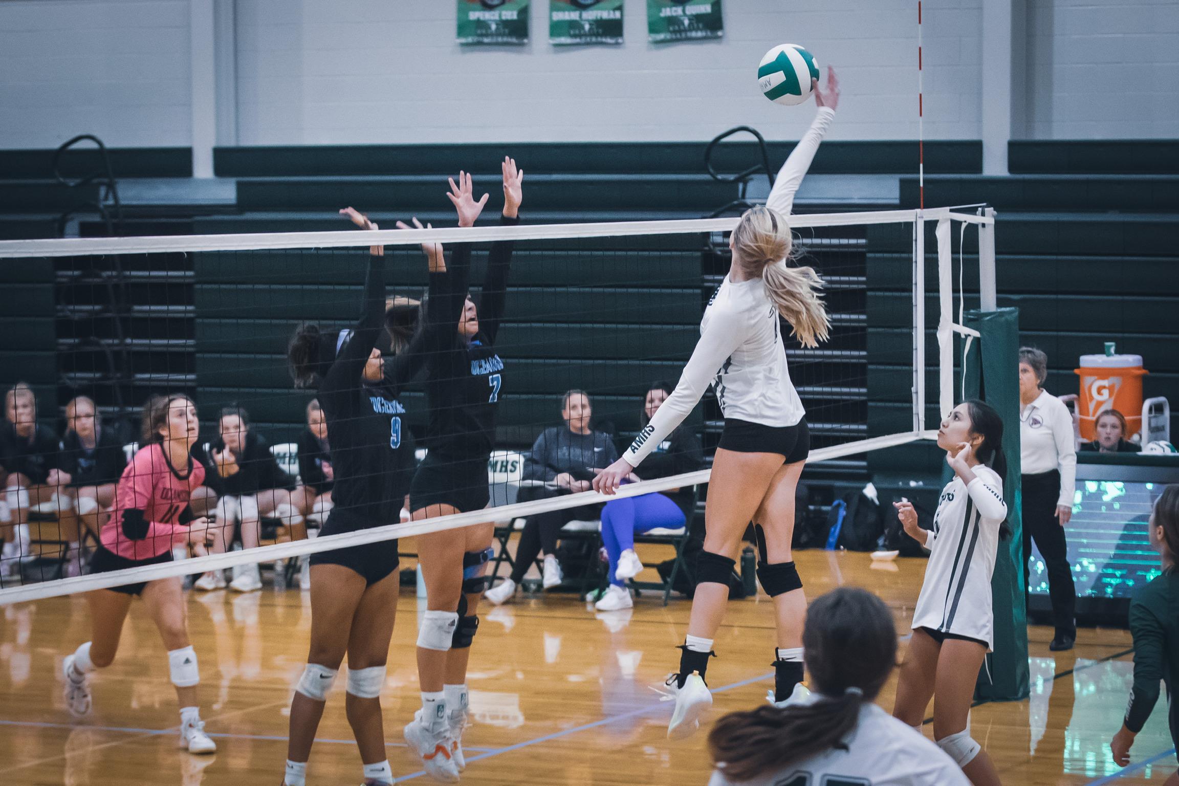 Alaina Jarrett mugshot