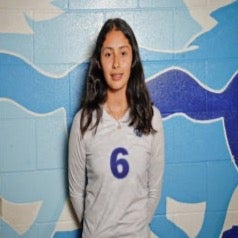 Andrea Torres mugshot