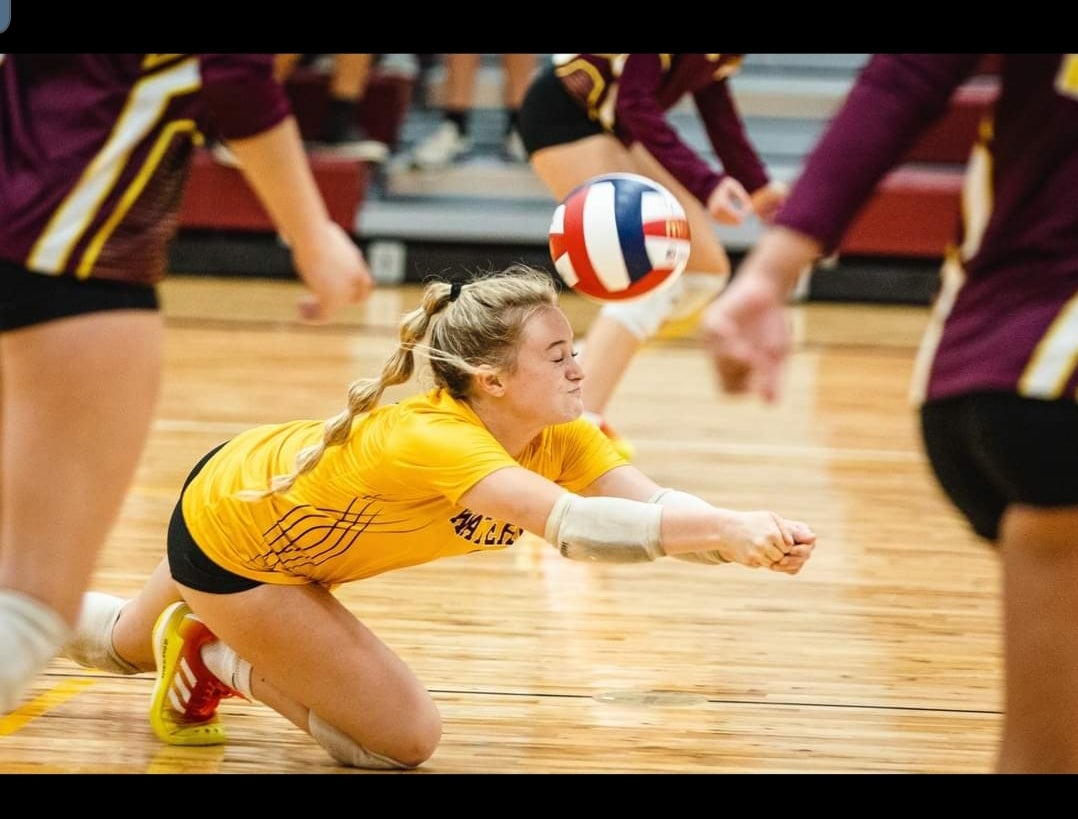 Briana Lauersdorf mugshot