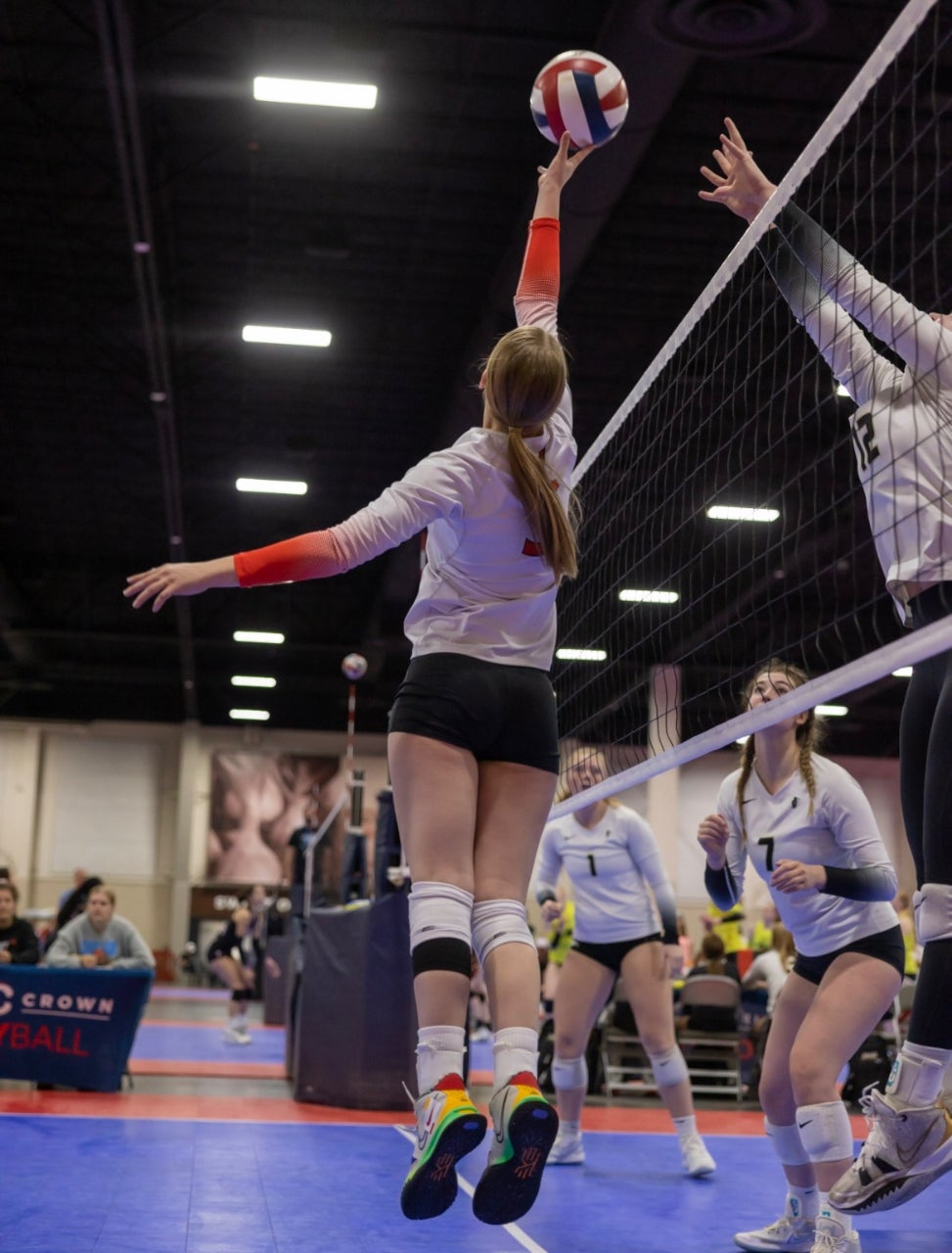 Aimee Larsen mugshot