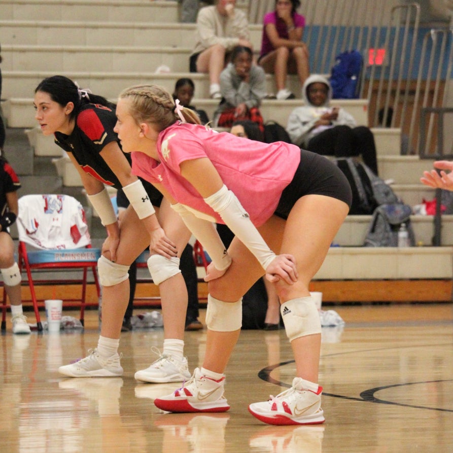 Jaylee Morrison mugshot