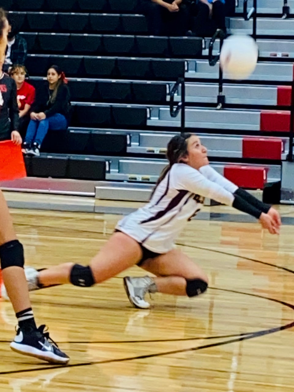 MiaElena Tapia mugshot