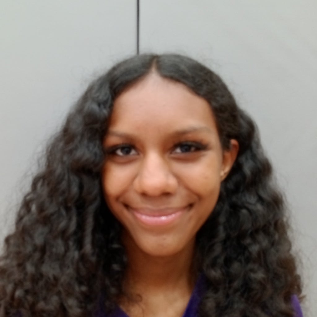Jalyse Williams mugshot