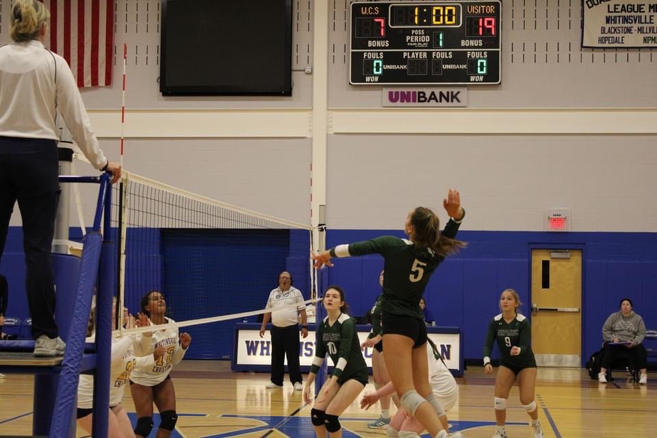 Dana Schechter mugshot