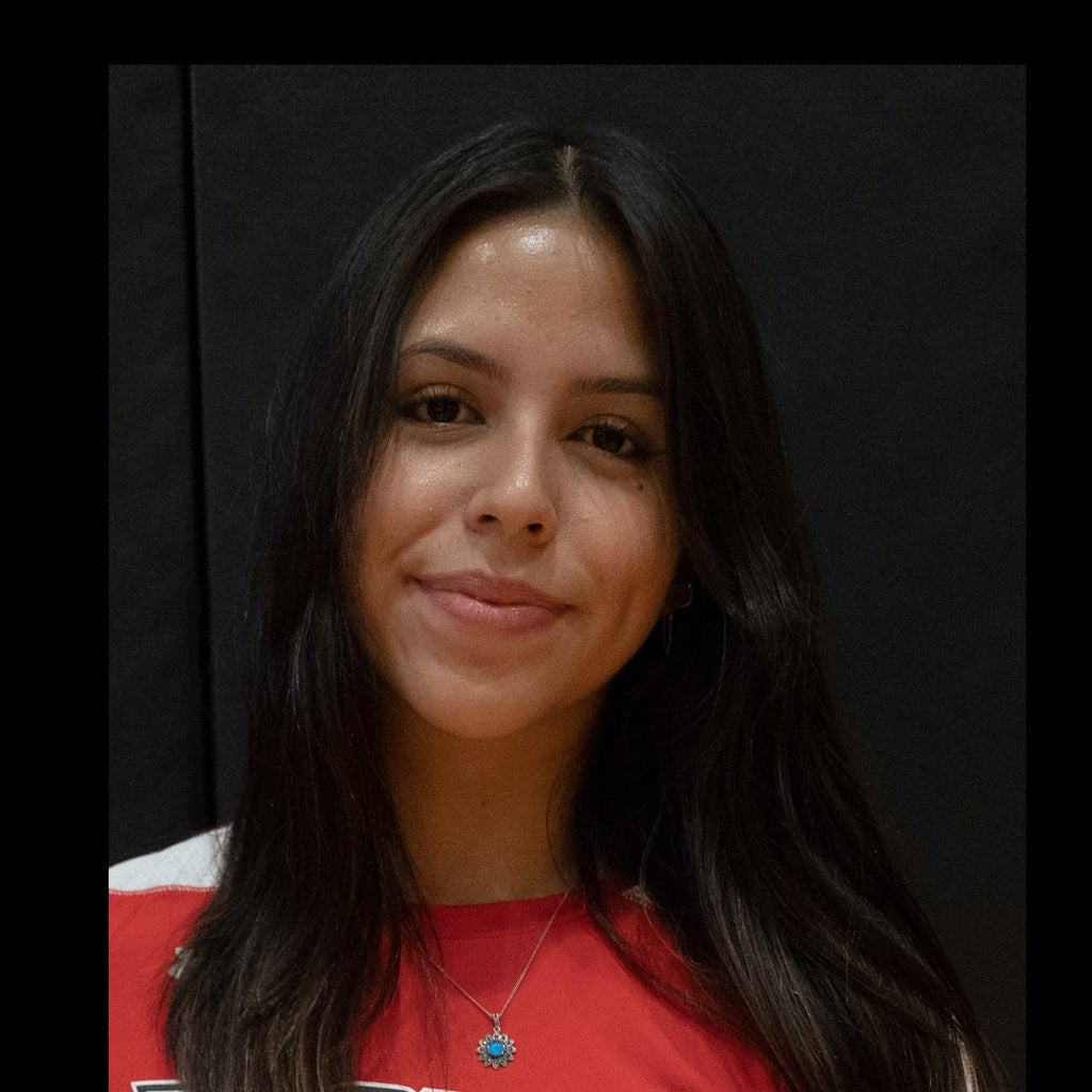 Stephanye Meneses mugshot