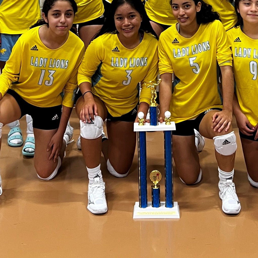 Shiery  Simental  mugshot