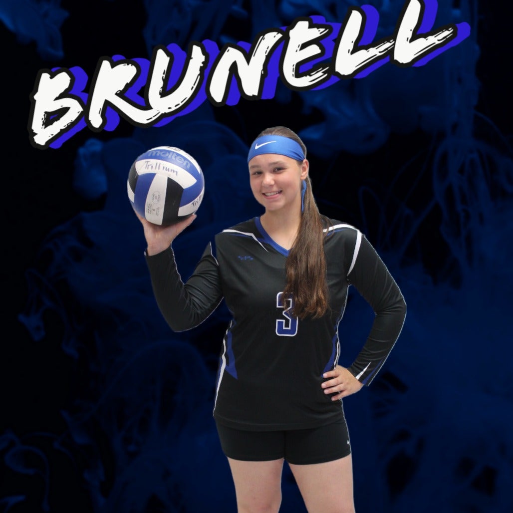 Sara Brunell mugshot