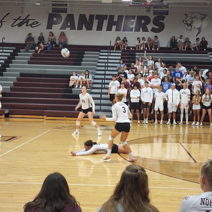 Emily Sherman mugshot