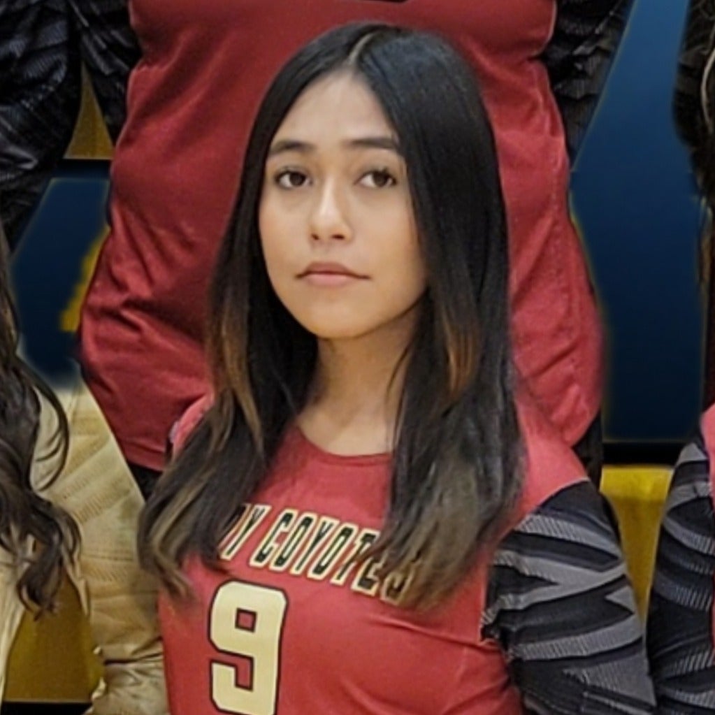 Raylean Vasquez mugshot