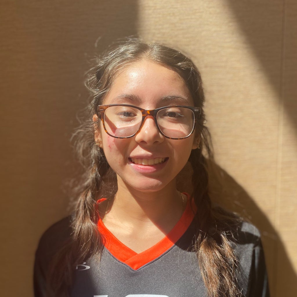 Flor Maria quiroz rivera mugshot
