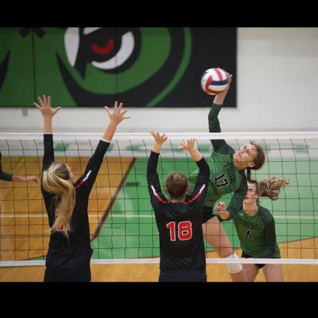 Aggie  Brown mugshot