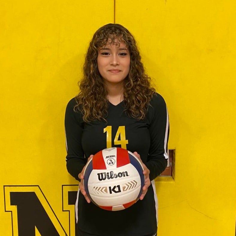 Sarai Castro mugshot