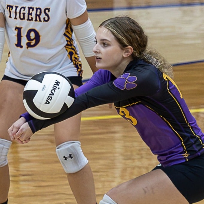 Sophie Senese mugshot