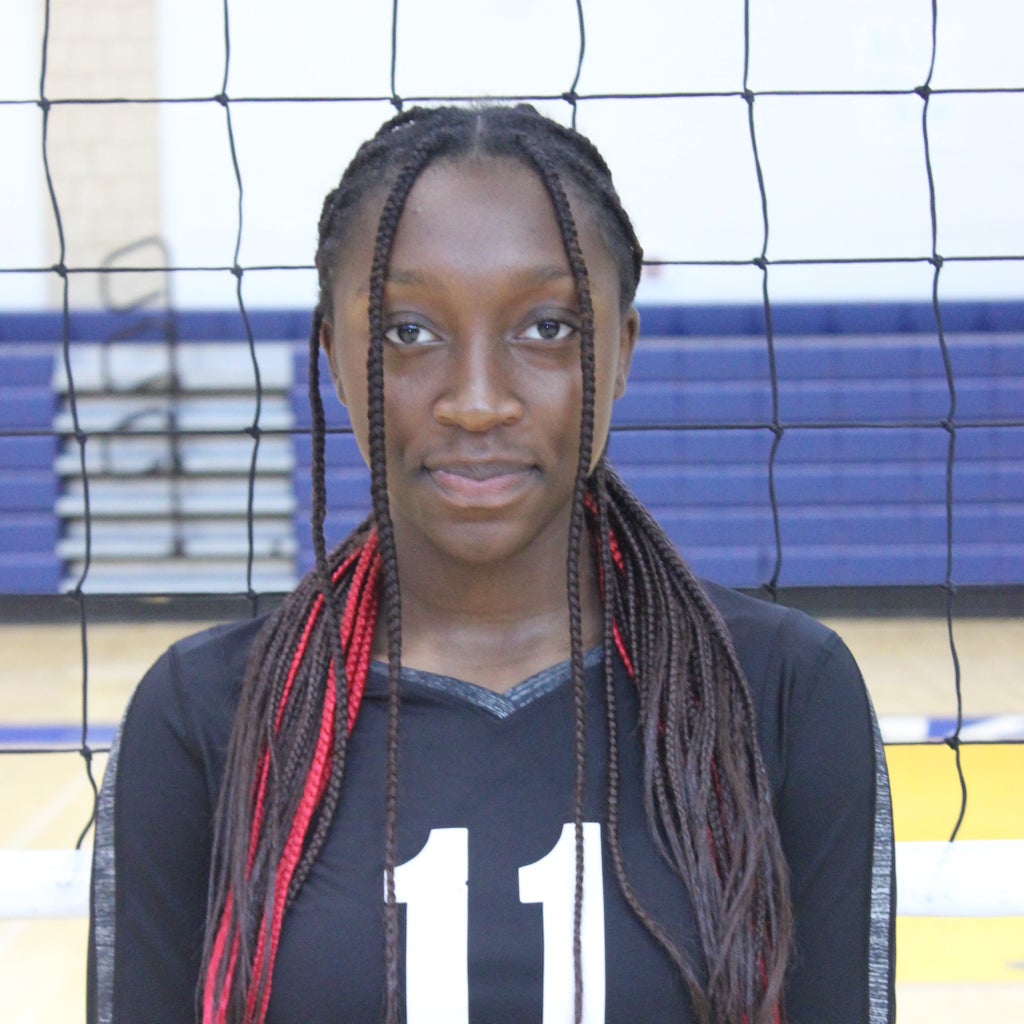 Ramiyah Wilkerson mugshot