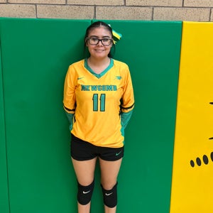 Leyonna Murphy mugshot