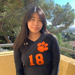 Ivy Chieng mugshot