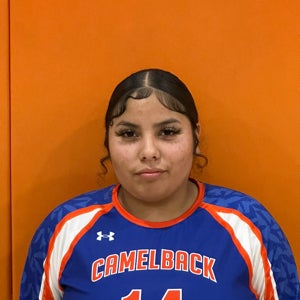 Alyssa Torres mugshot