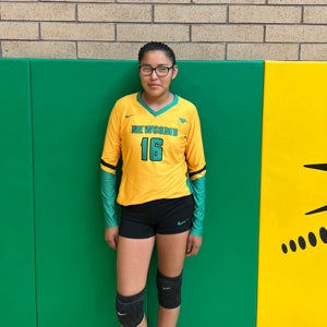 Evinyi Miller mugshot