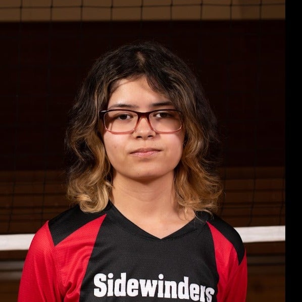 MerryAnne Fernandez mugshot